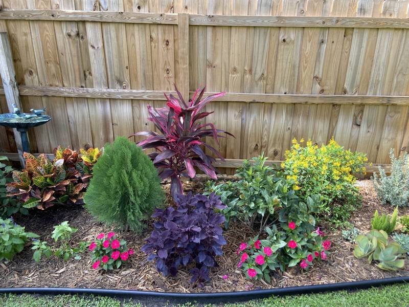 Colorful mixed bed with a birdbath and a small conifer along a wood fence