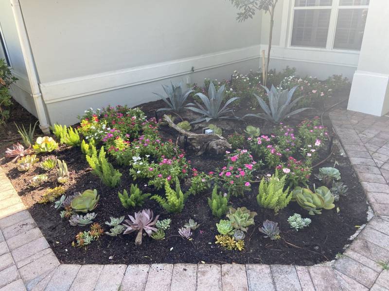 Corner bed of agaves, succulents and flowering plants framed by pavers