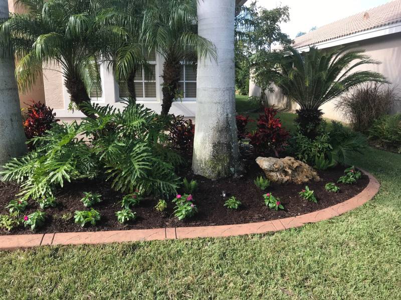 Terracotta colored curbing around a planted bed under palms