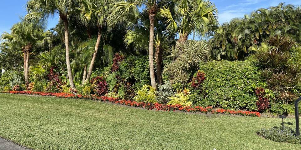 Palms, crotons and a border of red flowers planted in layers behind a fresh green lawn