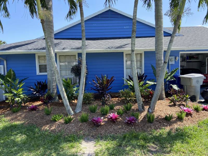After: a planted bed of bromeliads and tropicals under the same palms