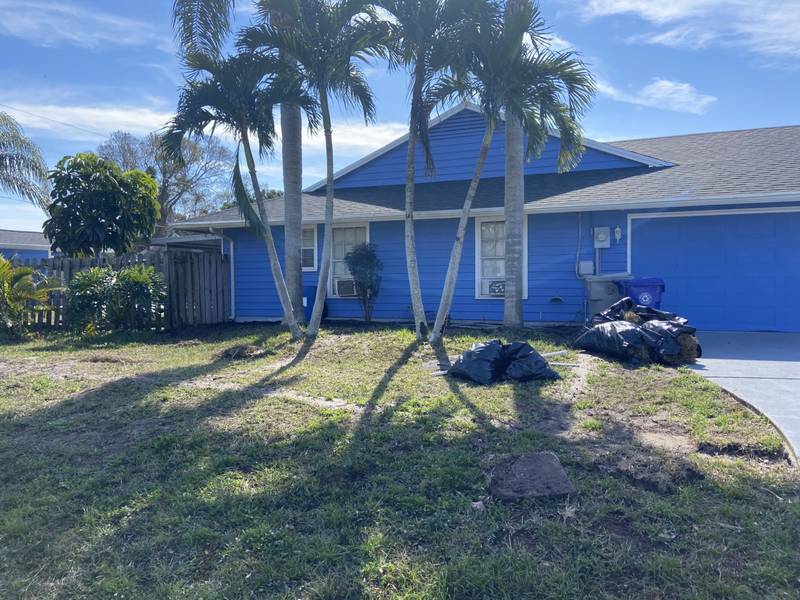 Before: thin grass and bare ground under palms in front of a blue house