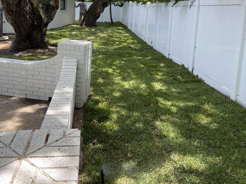After: new sod under the same oak