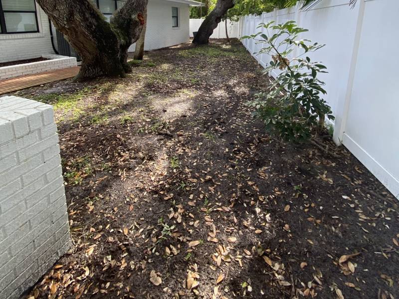 Before: bare dirt and leaf litter under an oak along a white fence