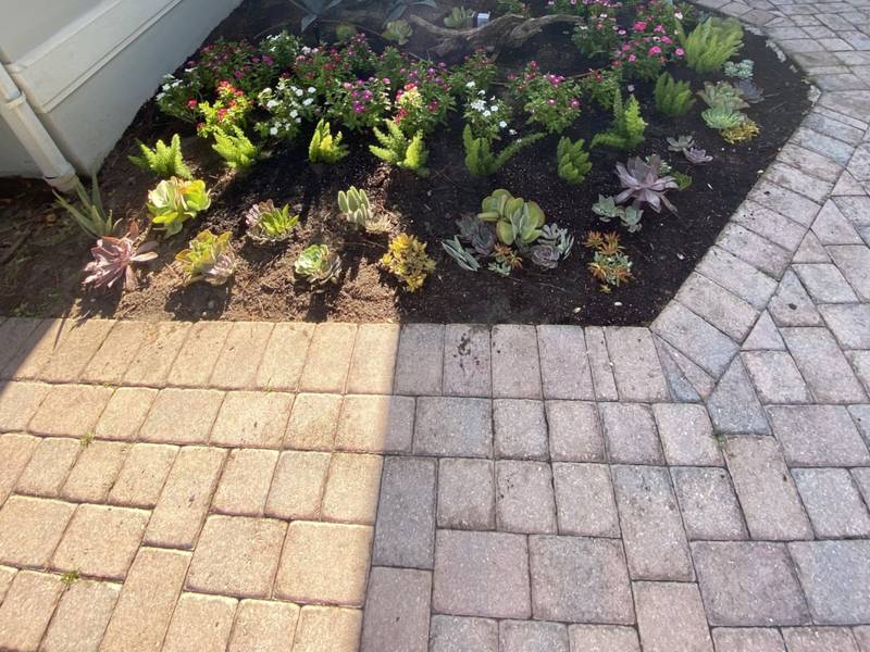 After: the same courtyard bed planted with succulents and flowering plants