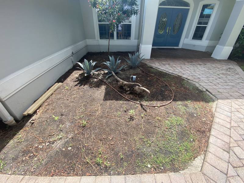 Before: bare soil and a few agaves in a courtyard bed