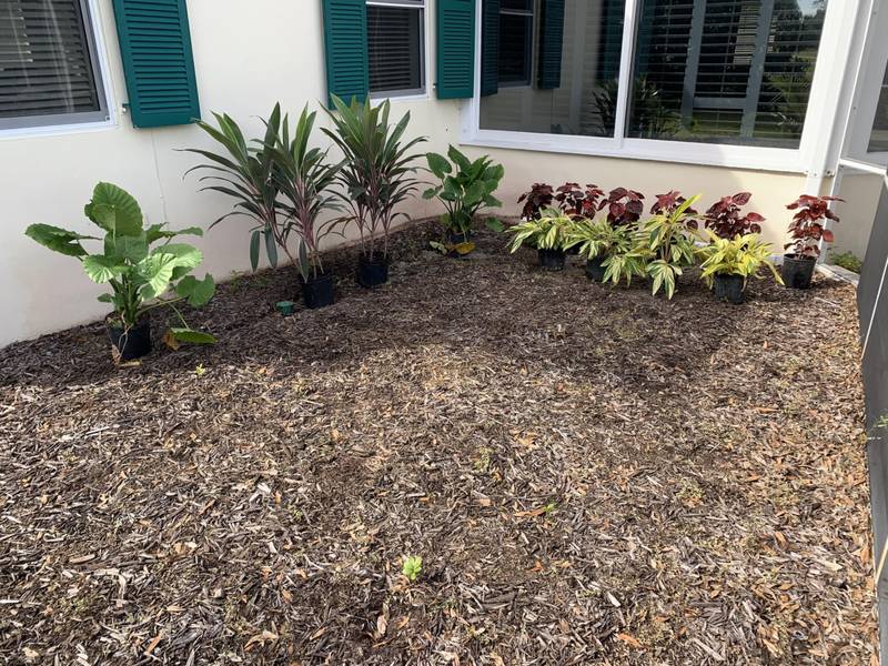 Before: a mulched bed with a few plants under windows with green shutters