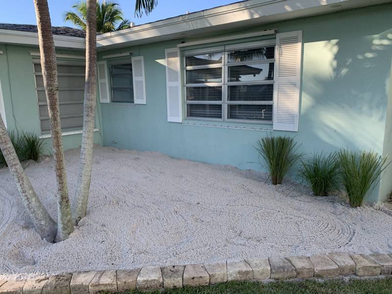 After: white gravel and ornamental grasses around the same palms