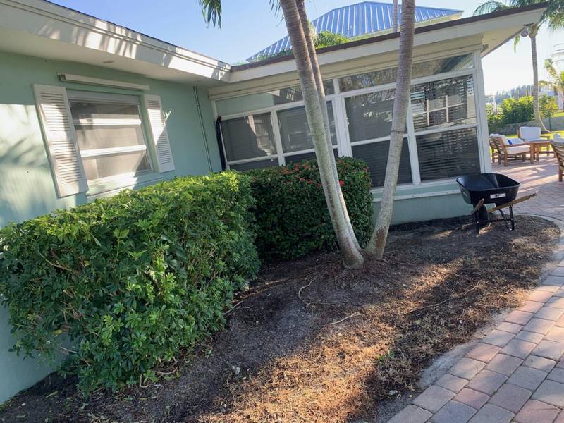 Before: overgrown hedges and bare soil along a paver walk
