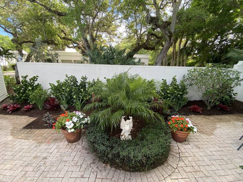 After: the finished patio bed with a round hedge, a palm and potted flowers