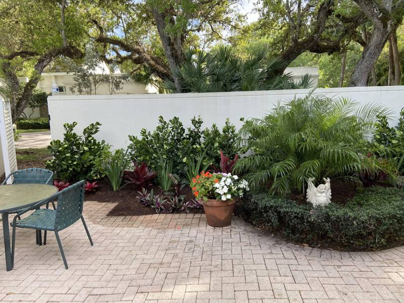 Patio corner with a palm, shrubs and potted flowers along a white wall