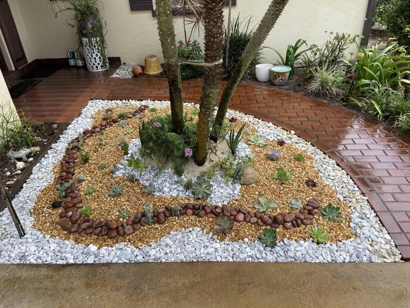 River rock and white stone design with succulents around palm trunks on a brick patio