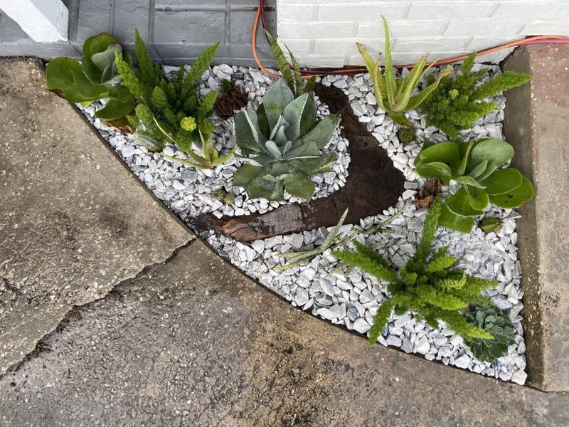 White rock bed with succulents and a curving dark stone band in a corner by a wall