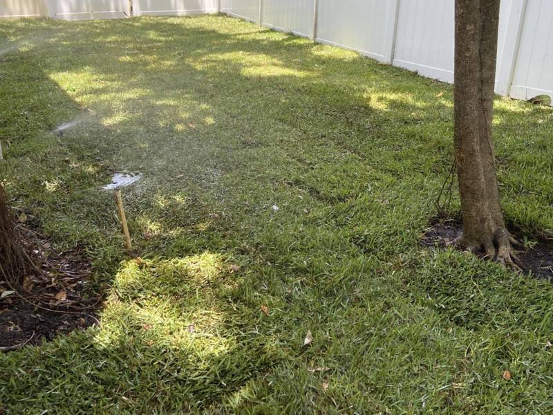 Fresh sod along a white fence with sprinklers running