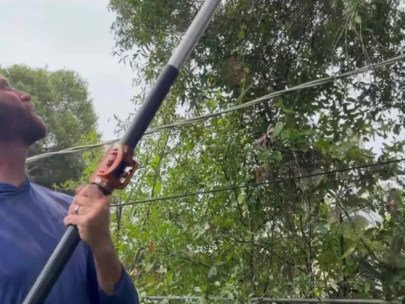 Crew member using a pole saw on branches over a fence line